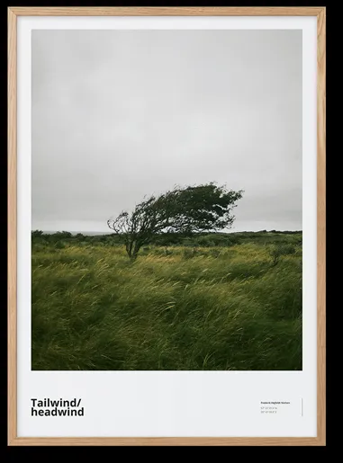 Peléton Tailwind / Headwind 50x70 Plakat